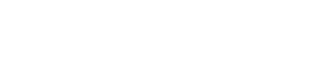 Braveheart Firearms